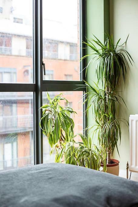 Spacious Belfast City Centre Duplex Apartment Εξωτερικό φωτογραφία